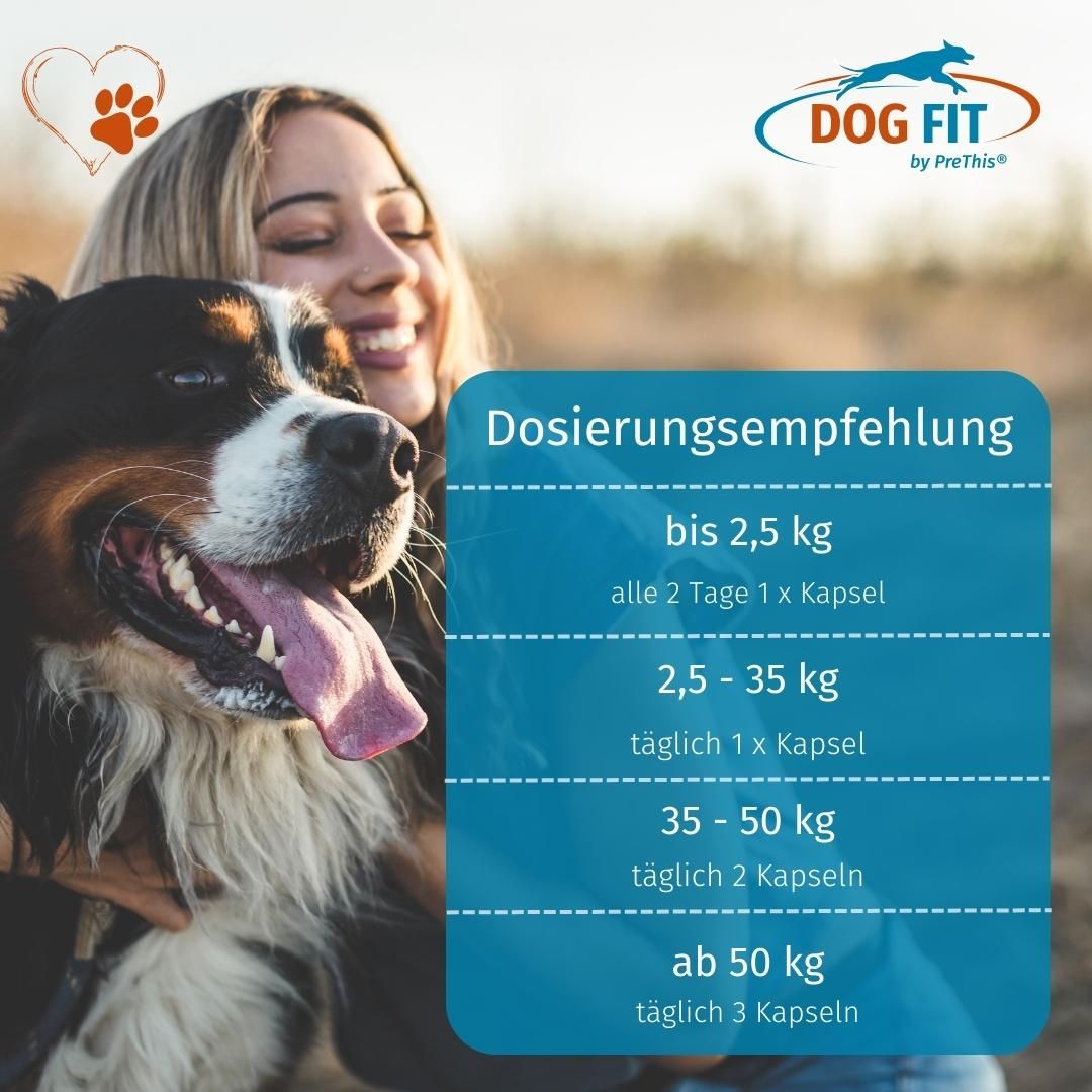 DOG FIT by PreThis® VITAL regeneration für Hunde Bandscheiben, Sehnen, Knorpel & bei Verletzungen