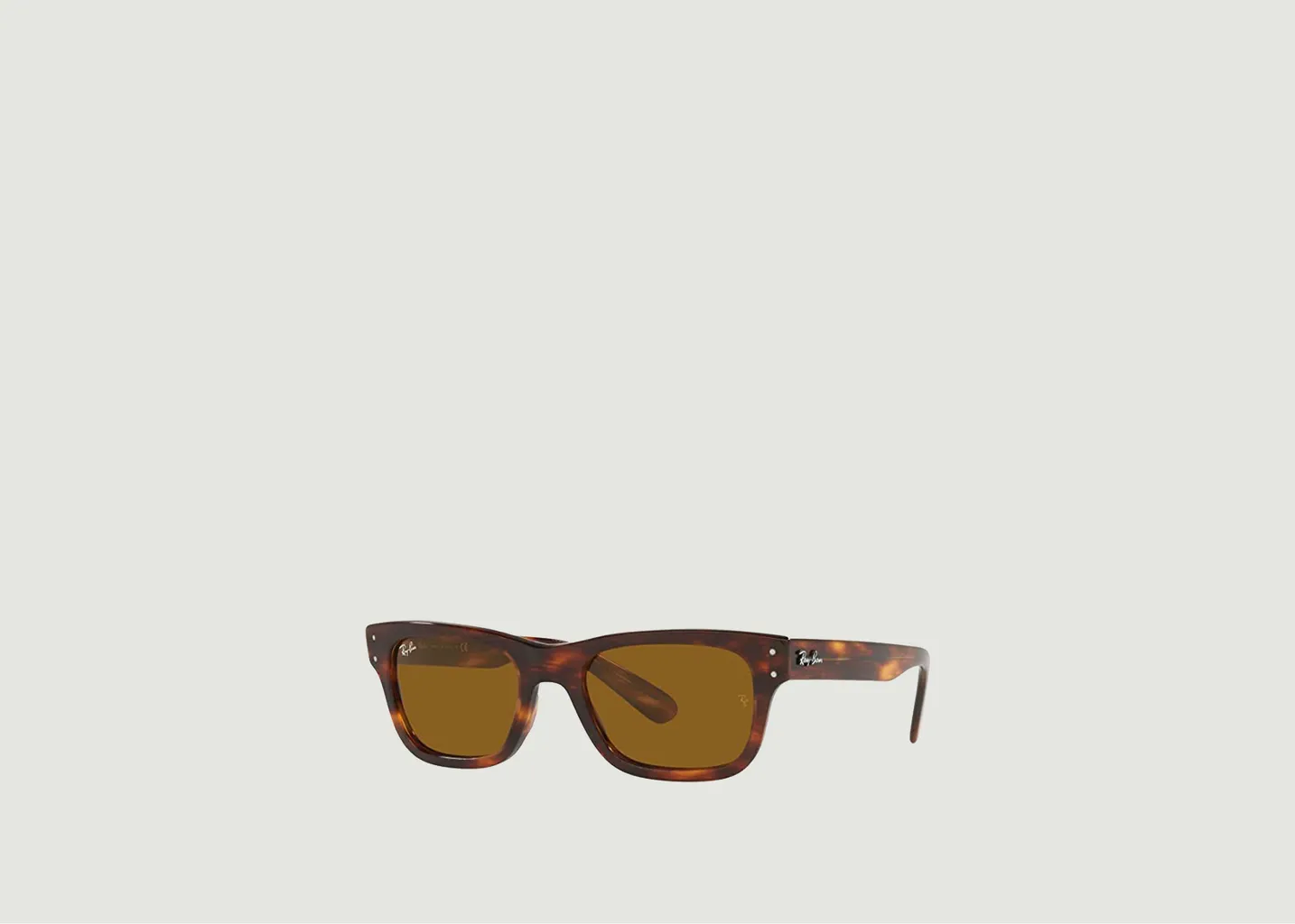 Lunettes Burbank Ray-Ban