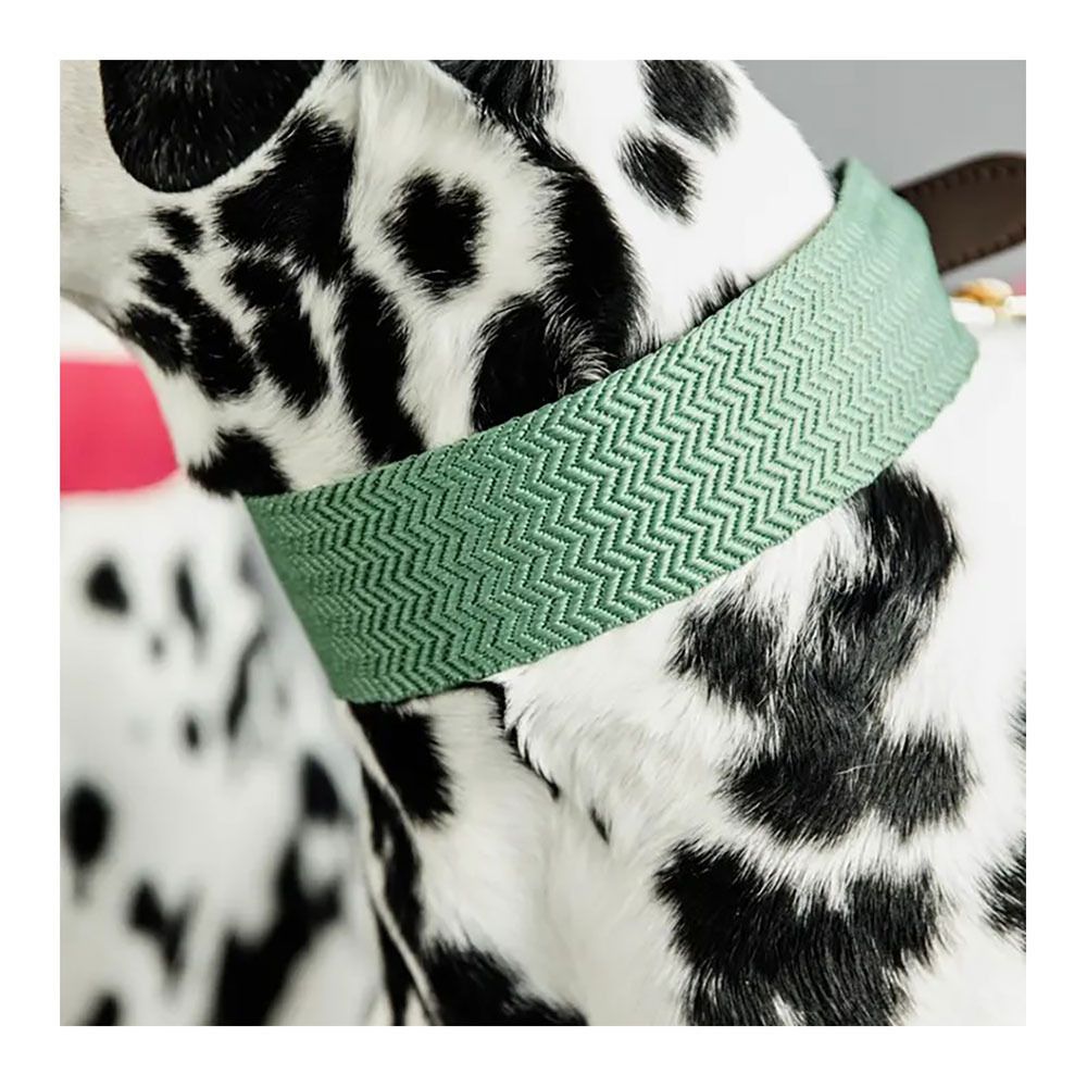 Kentucky JACQUARD-  Collier pour chien olive green