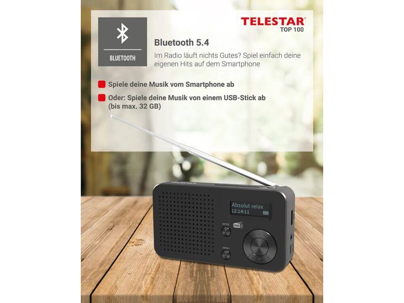 Telestar DAB  Radio TOP 100 Schwarz Portables Mono-Radio mit DAB /FM