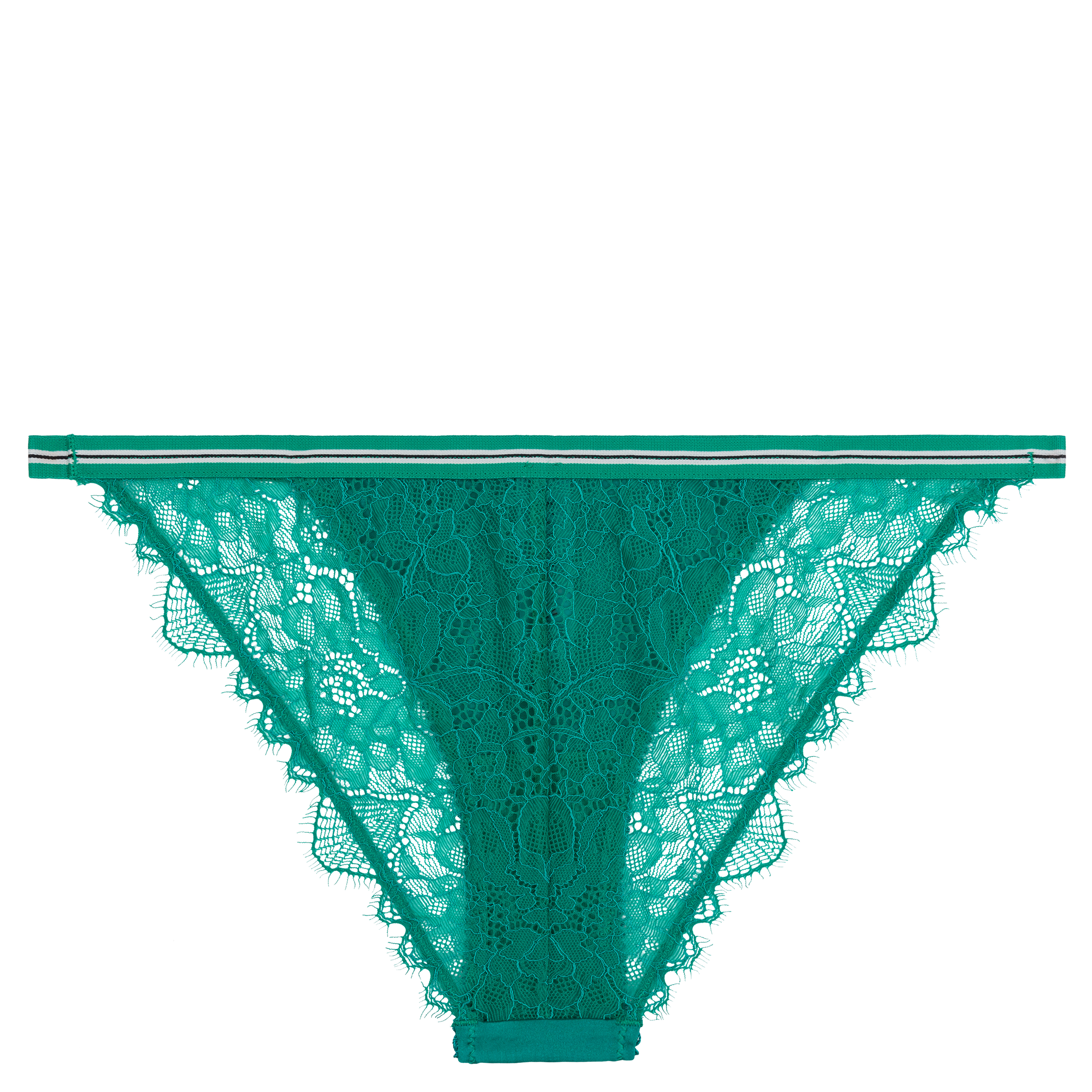 WILD ROSE - Culotte en dentelle | Vert