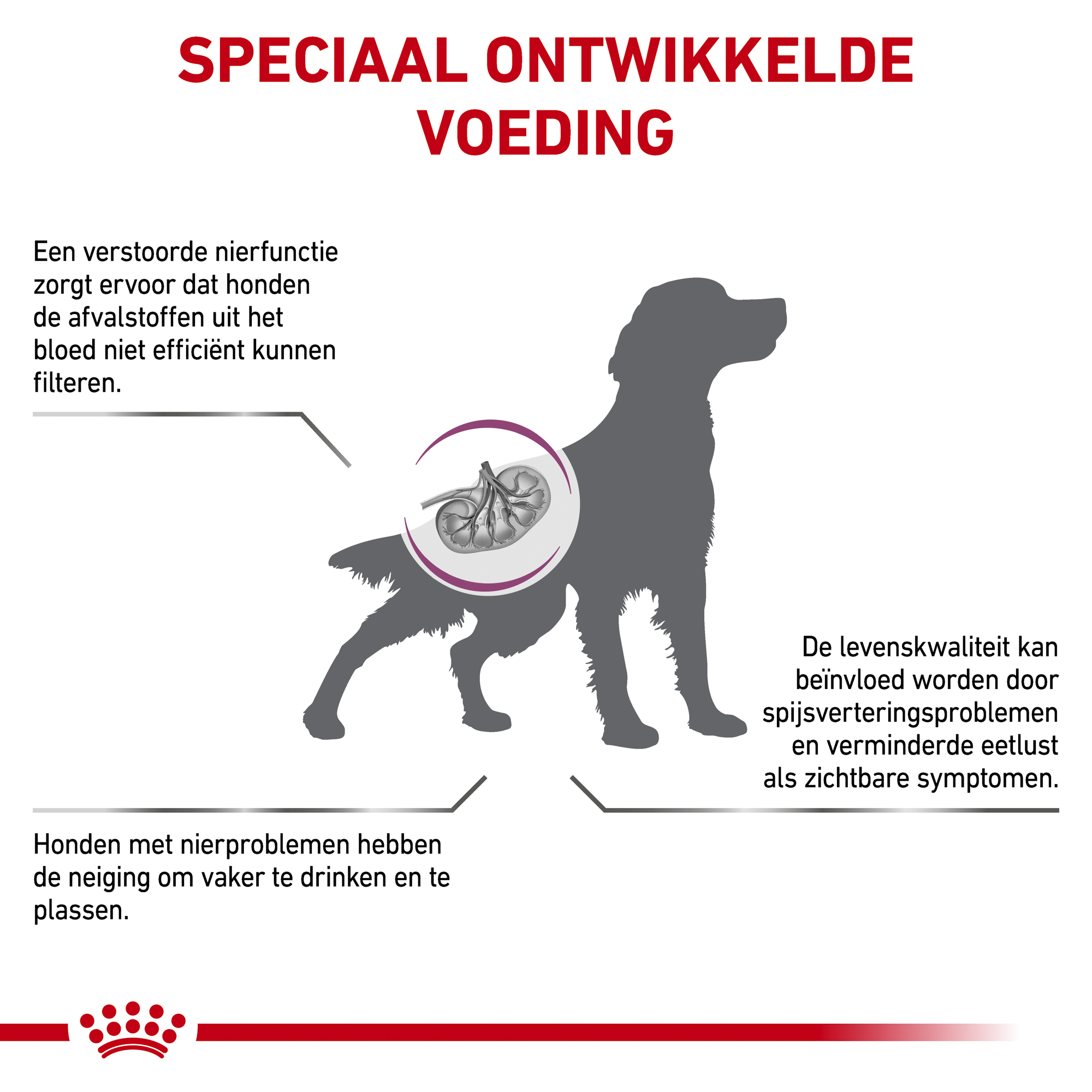 Royal Canin Renal Hond