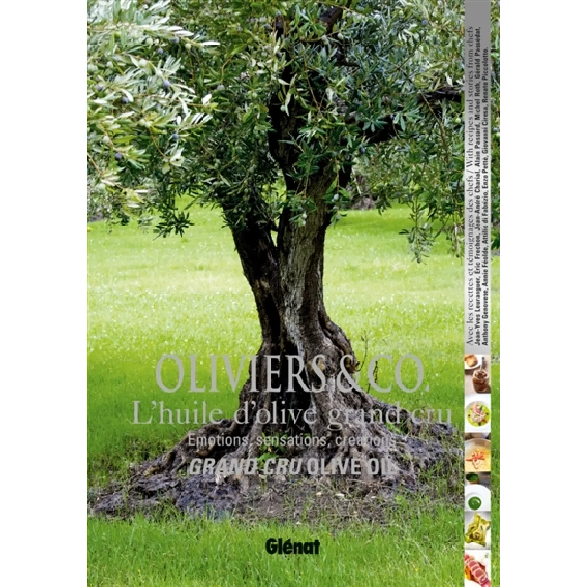 Oliviers & Co. : l'huile d'olive grand cru : émotions, sensations, créations. Grand cru olive oil · Occasion