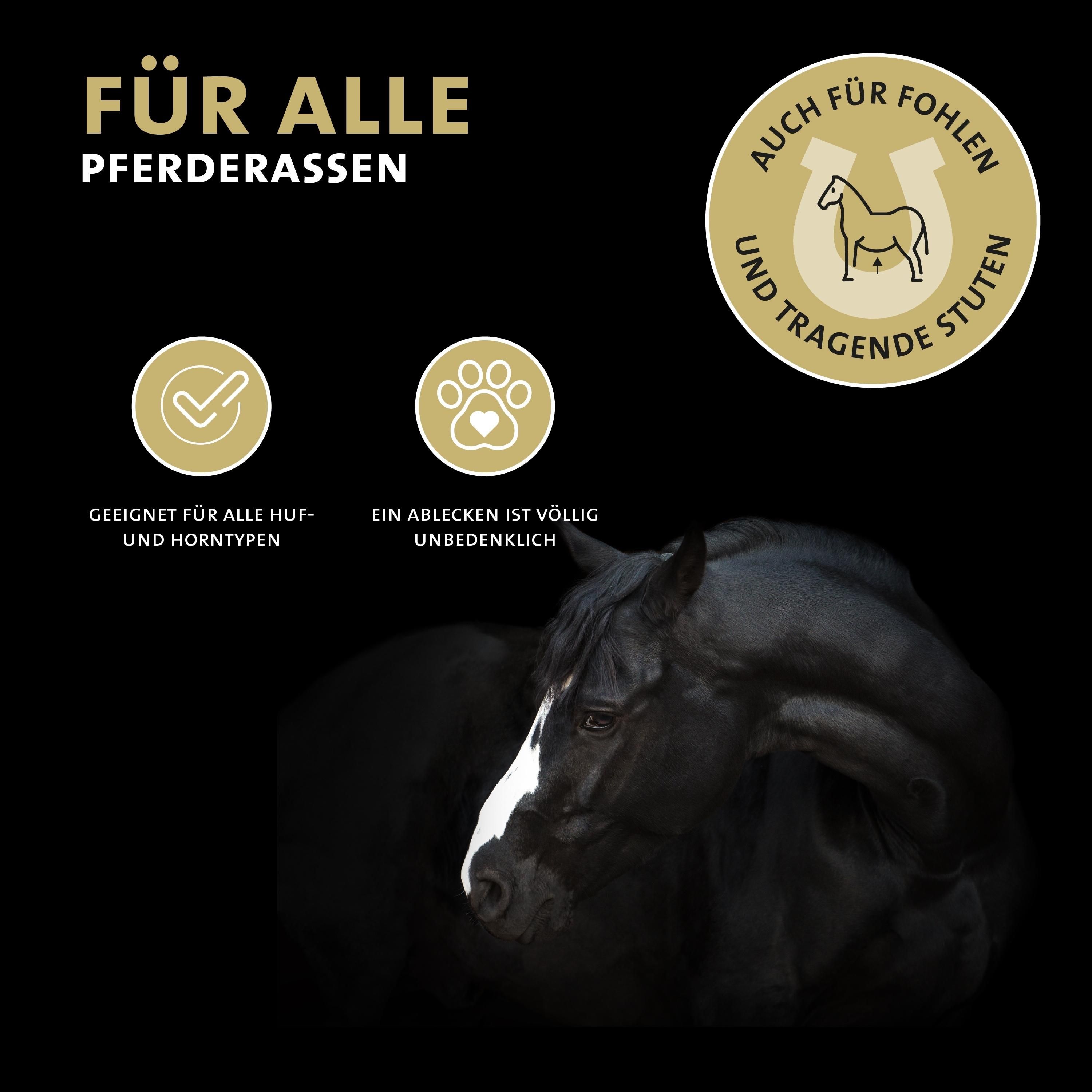 Peticare Huf-Öl für Pferde fördert nachhaltig Hufwachstum & Elastizität am Huf