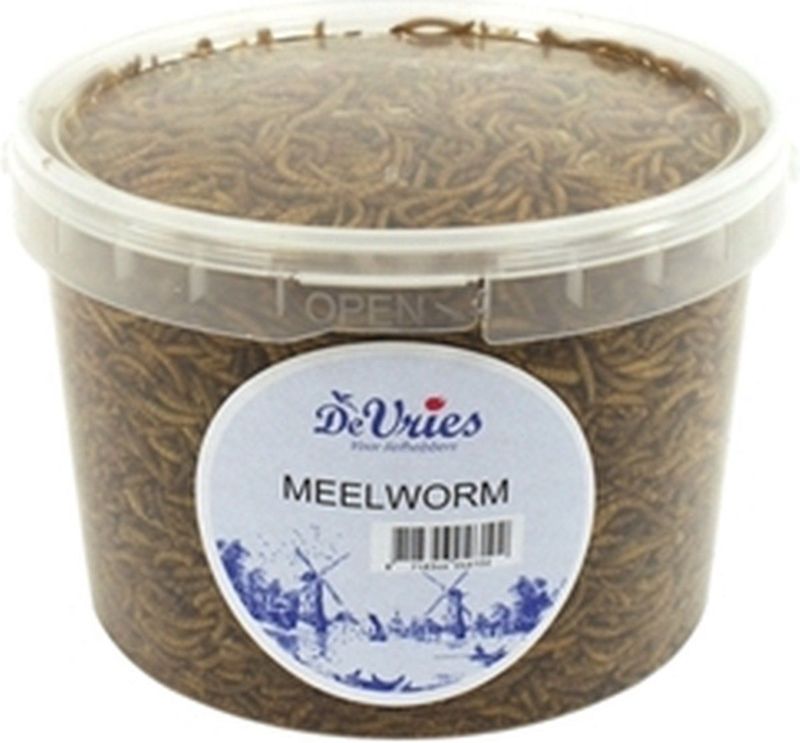 De Vries Soldier Soldier Fly Meelworm 450 GR