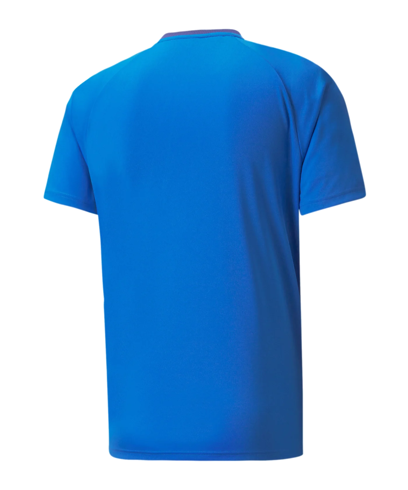 PUMA teamVISION Trikot Blau F02