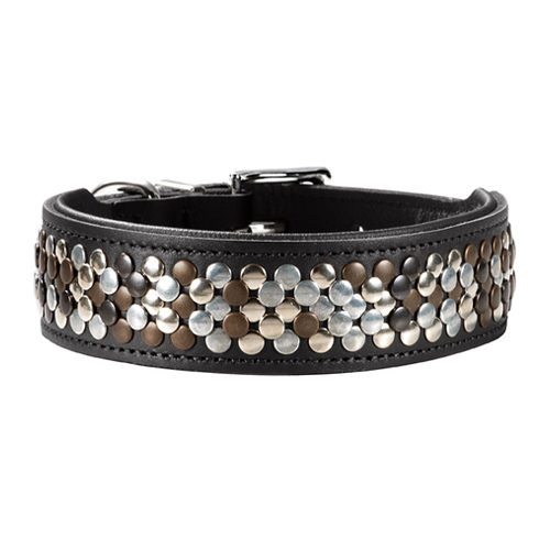 Hunter Halsband Arizona