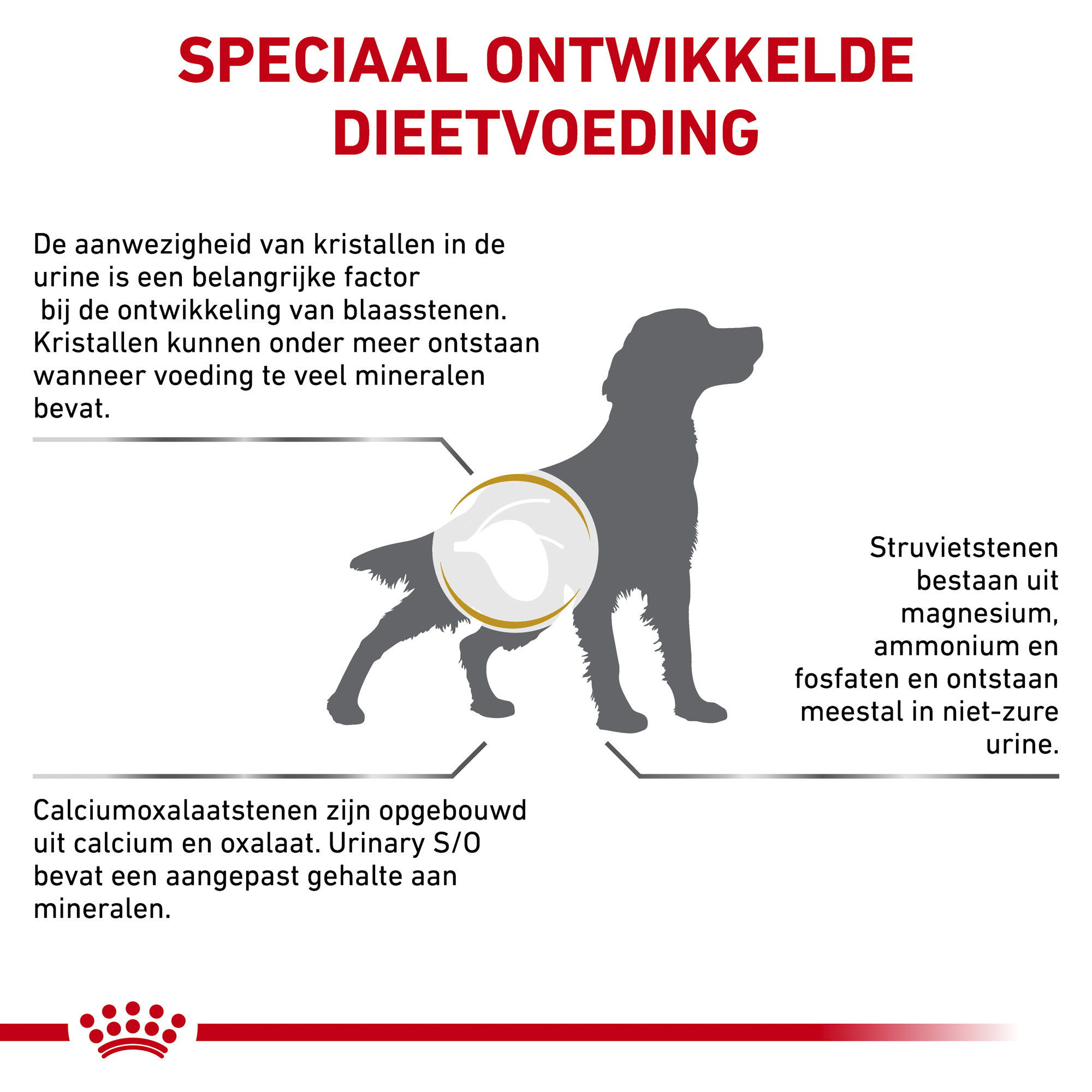 Royal Canin Urinary S/O Hond