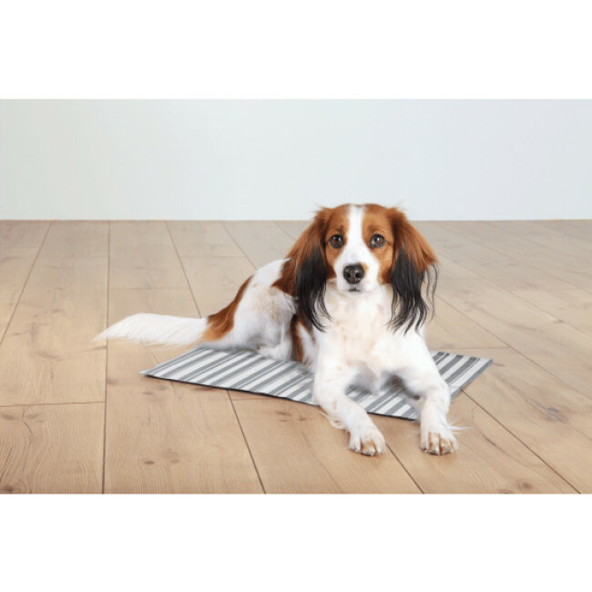 Tapis rafraîchissant blanc gris Trixie pour chien