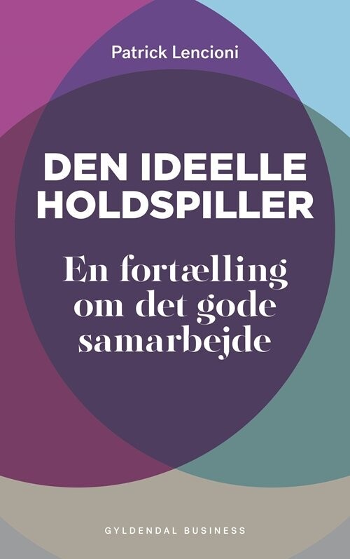 Den Ideelle Holdspiller - Patrick Lencioni - Bog