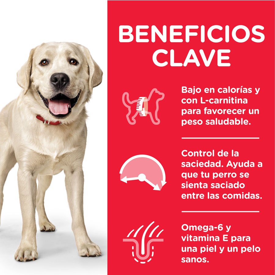 Ração Hill's Science Plan Light Adult com Frango para Cães