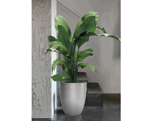 Lafiora plantenpot, kunststof, Ø 35 x H 42,5 cm, zilver