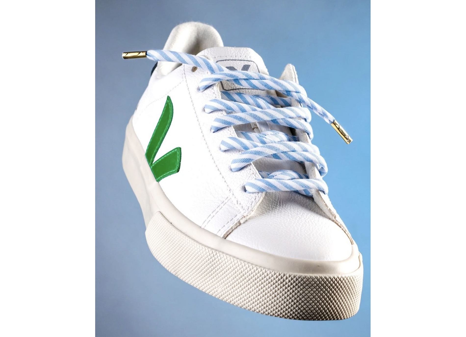 Lacets ltd edition blanc bleu
