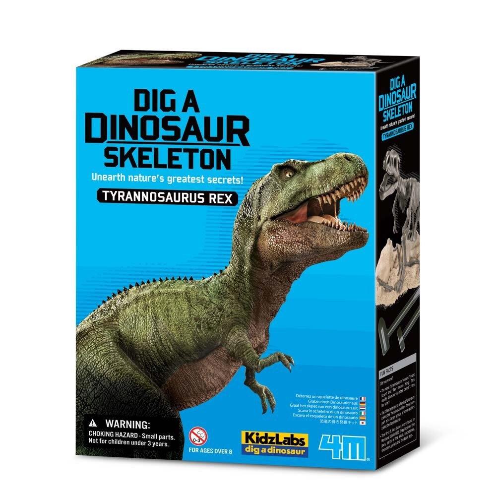 4M KidzLabs - Dinosaurier Ausgrabung T-Rex