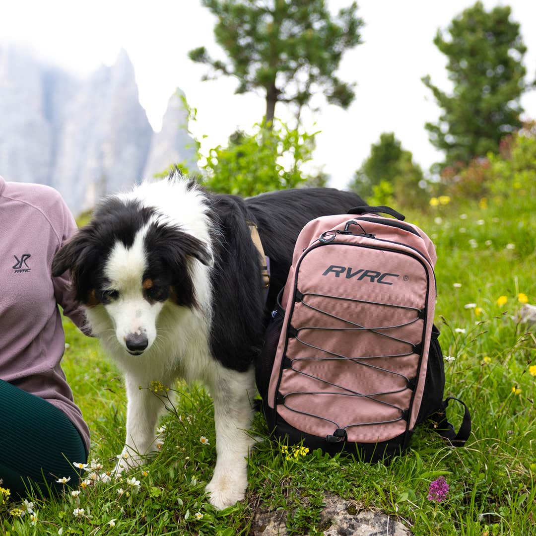 Explor Backpack 15L  Blush