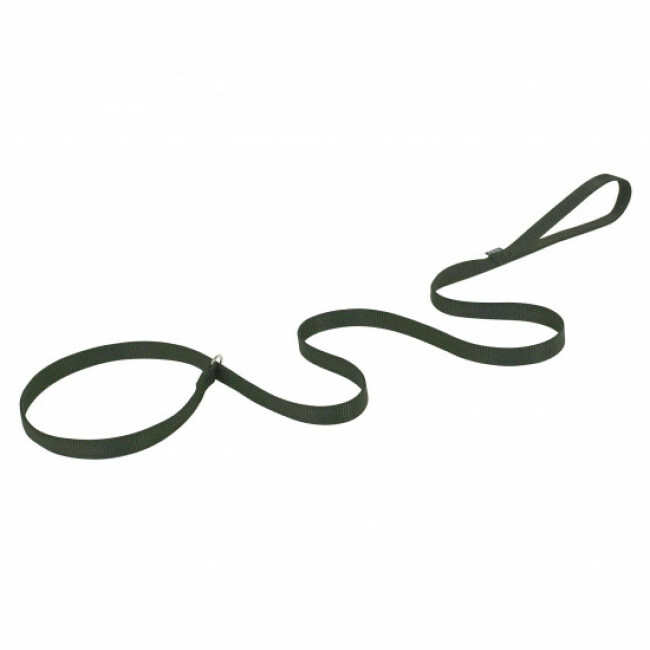 Laisse lasso plate en nylon 1,5 m pour chien