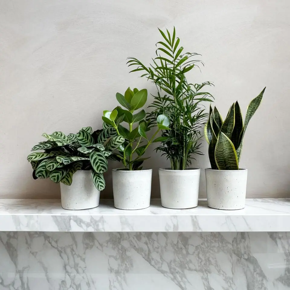 Gemakkelijke kamerplanten - Set van 4 - Hoogte 25-40cm - ⌀12cm