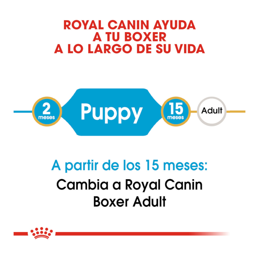 Ração Royal Canin Puppy Boxer para cães