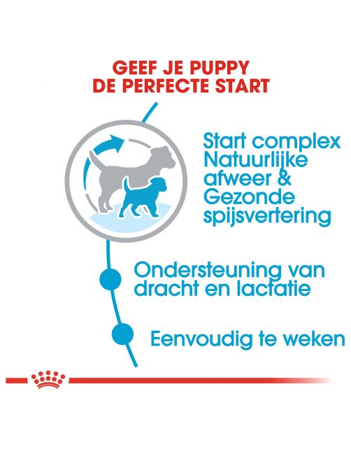 Royal Canin Mini Starter Mother & Babydog - Puppy-Hondenvoer