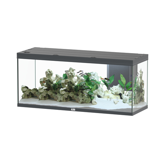 Aquarium équipé Volga 450 Led 2.0 Gris L. 152.5 P. 52.7 H. 67.4cm