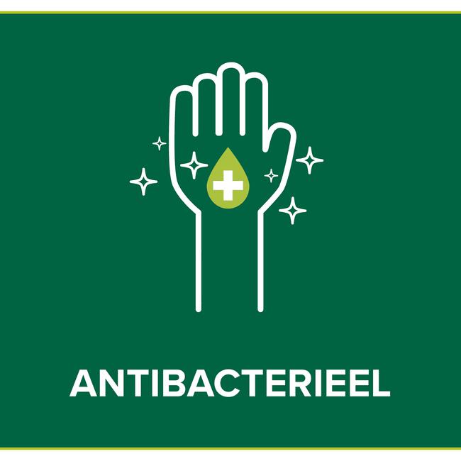 Palmolive Hygiëne Plus Sensitive Antibacteriële Vloeibare Handzeep 300 ML