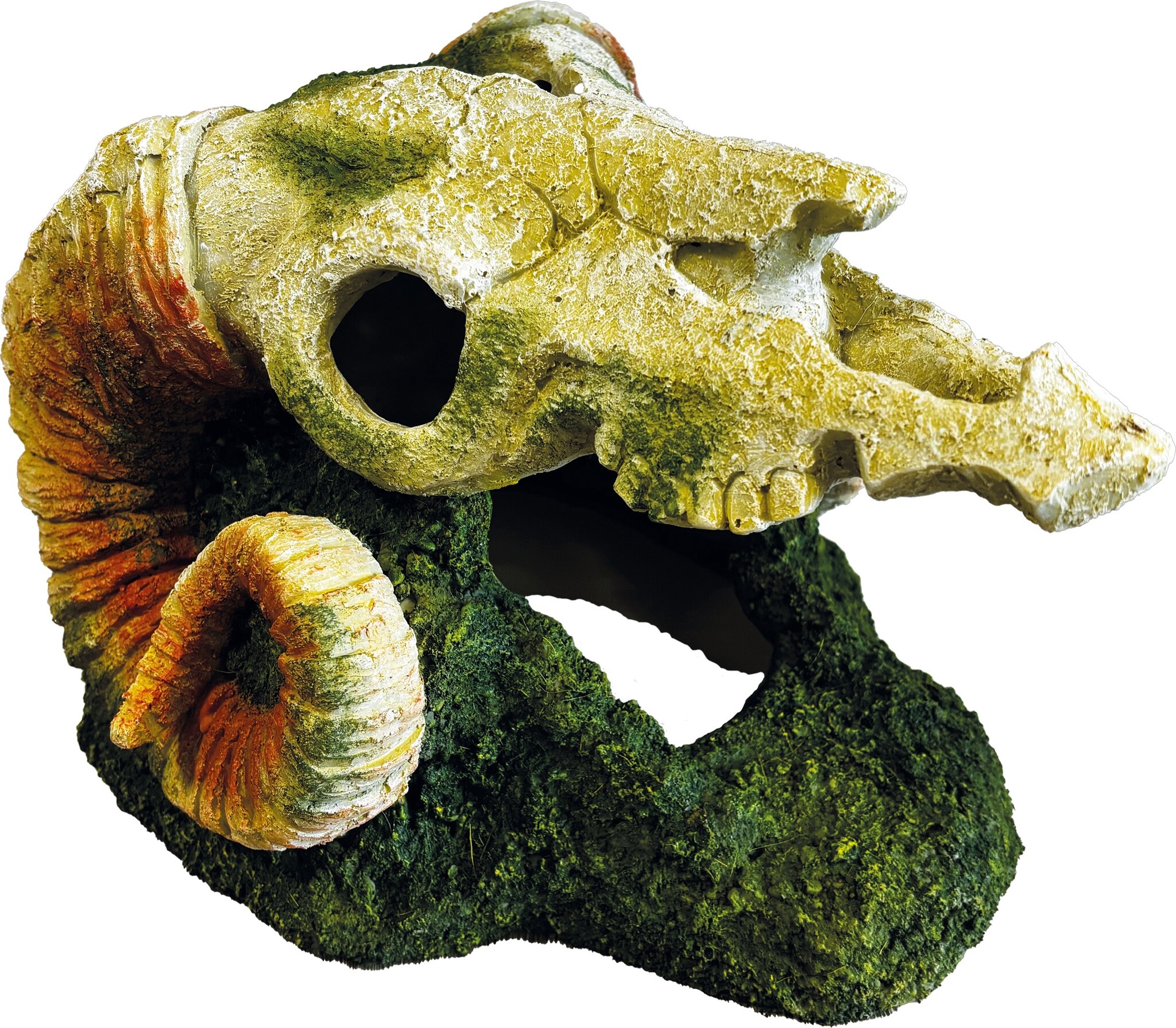 Repto Terrarium Deco Goat Skull Schuilplaats