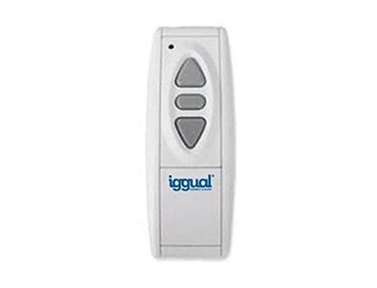 IGGUAL - Ecran de projection Ecran Mural Electrique PSIES240 240 x 240 cm