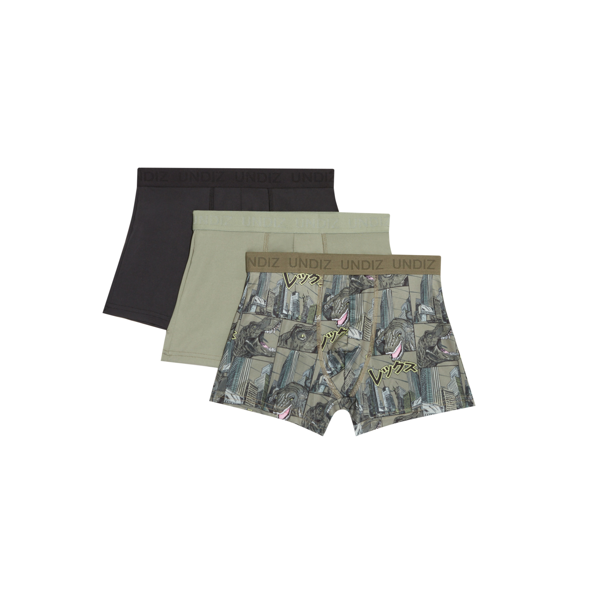 Lot de 3 boxers en microfibre