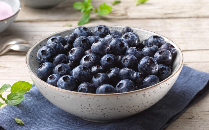 Kulturheidelbeeren (10852) | online bestellen!