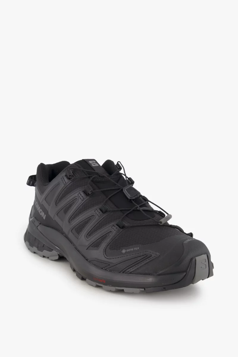 Salomon XA Pro 3D V9 Gore-Tex® Herren Trekkingschuh