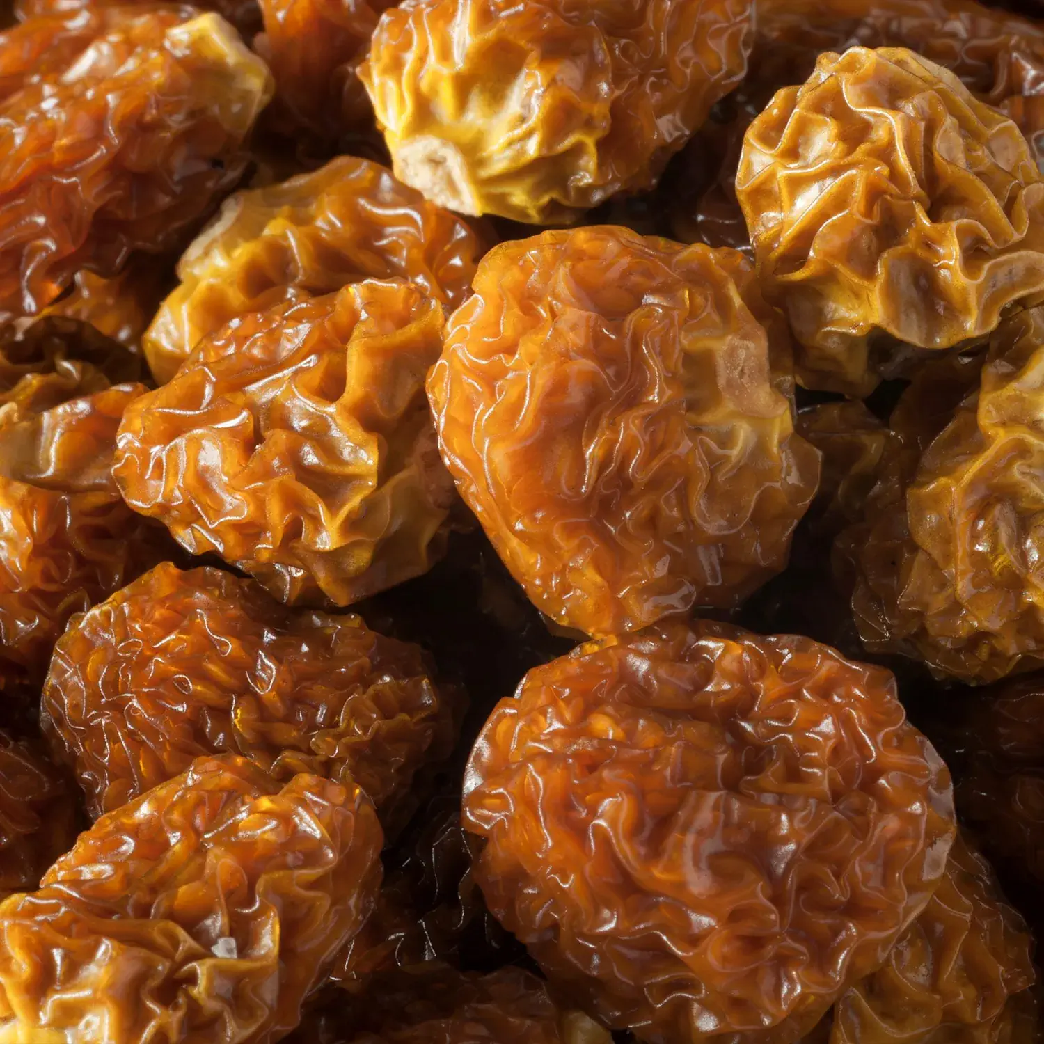 Physalis, getrocknet