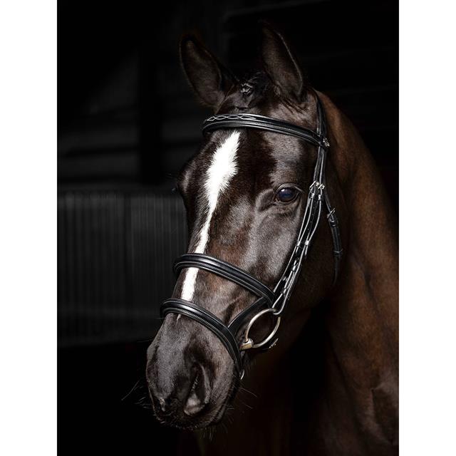 Hoofdstel LeMieux Kudos Double Noseband Zwart-zilver