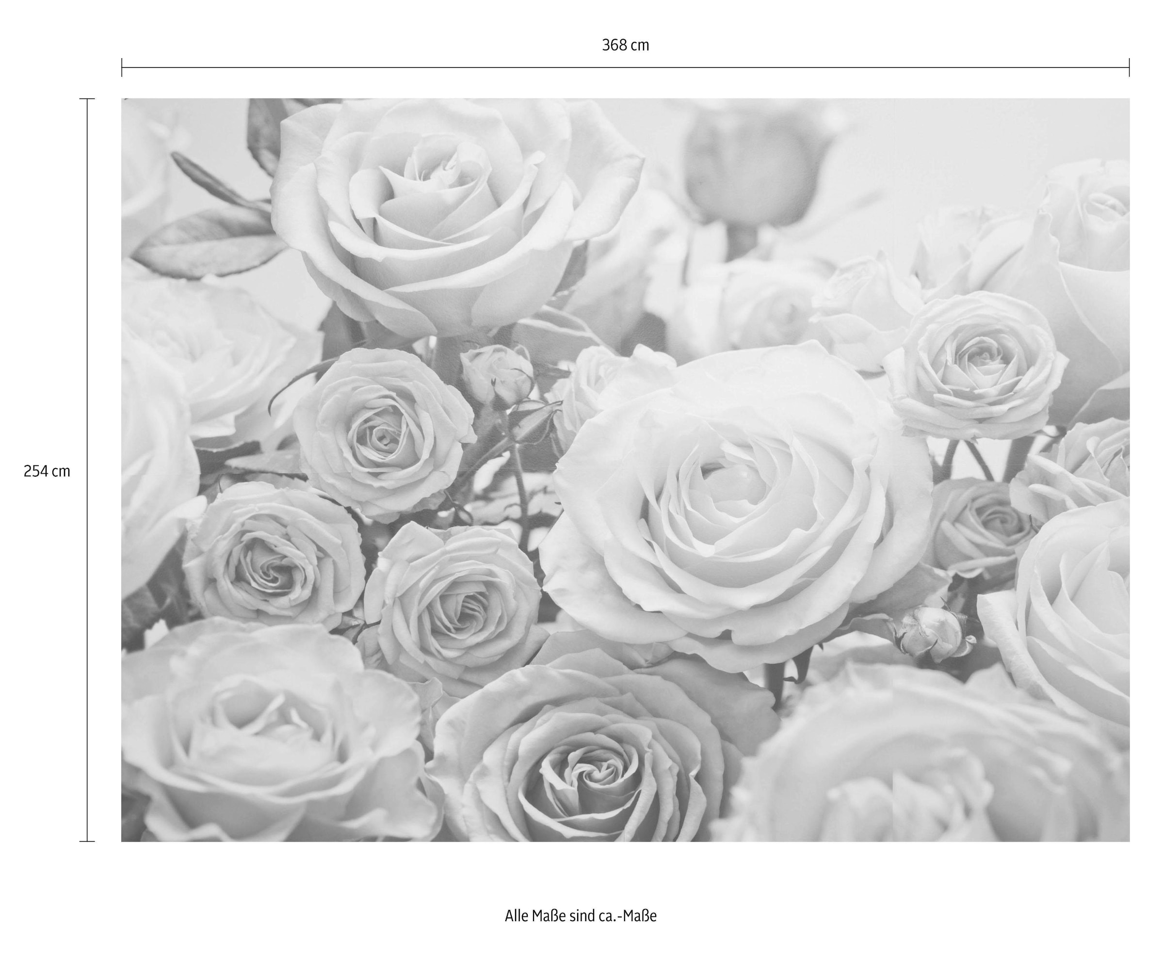 Komar Fototapete »Floraison - Grösse 368 x 254 cm« bedruckt glatt Wohnzimmer, Schlafzimmer