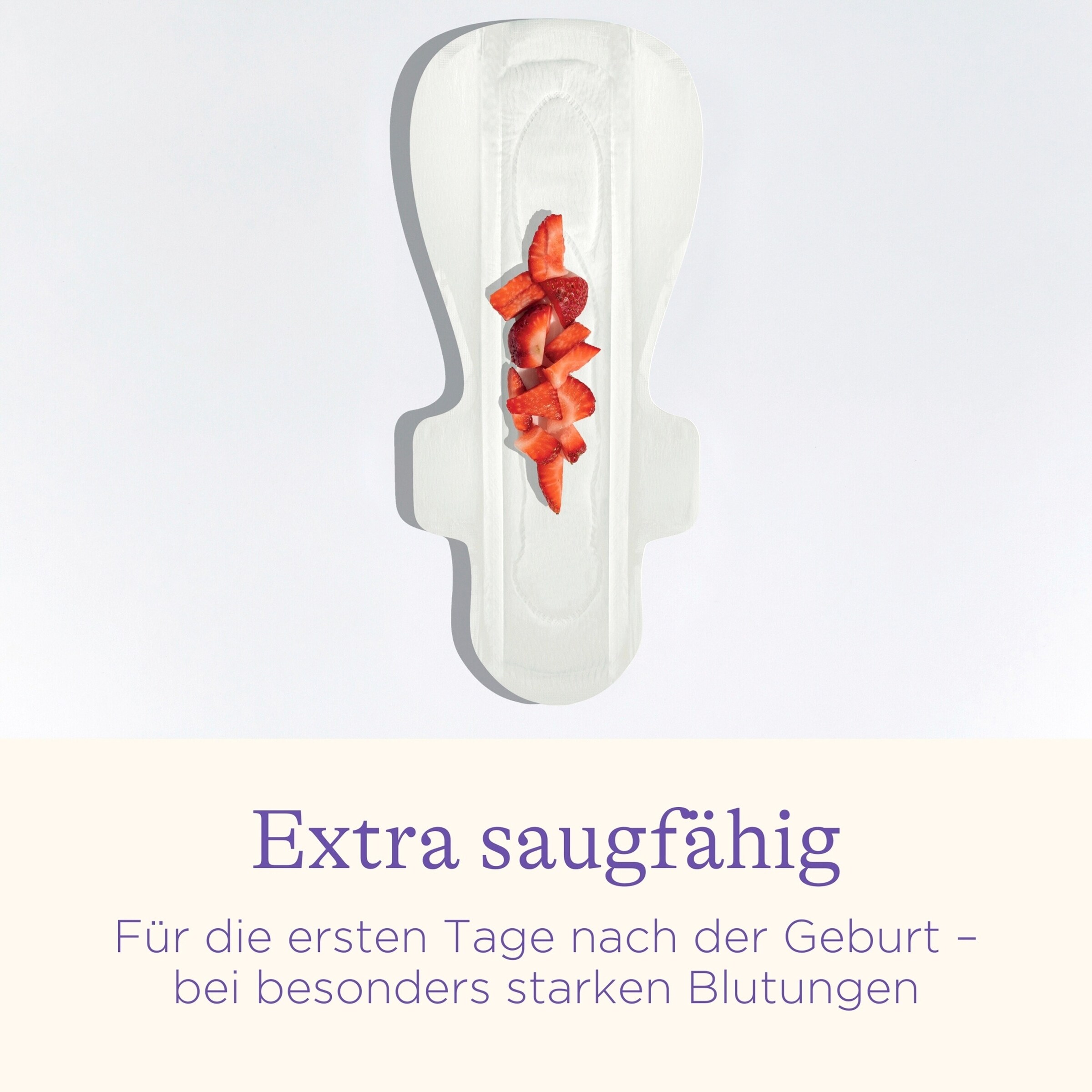 Lansinoh Wochenbetteinlagen 0-2 Wochen,10 Stück