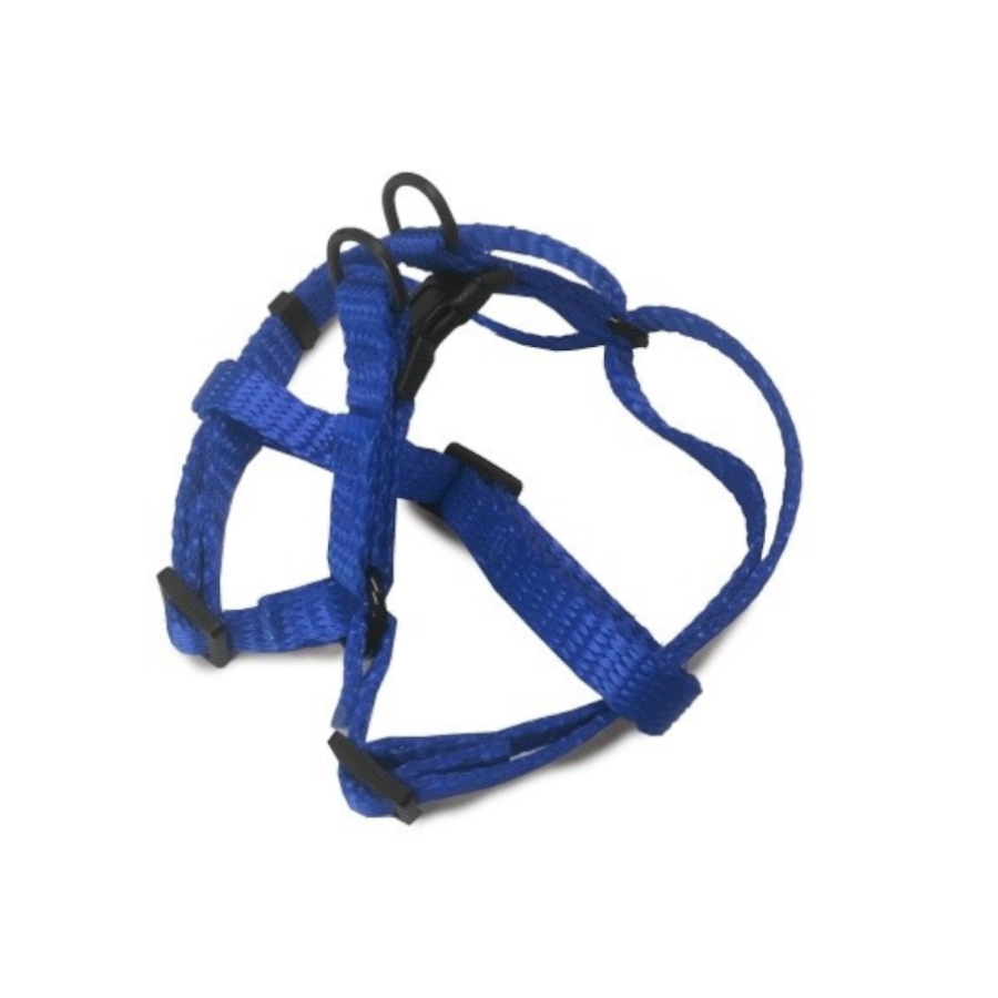 Coleira para cães Outech Blue