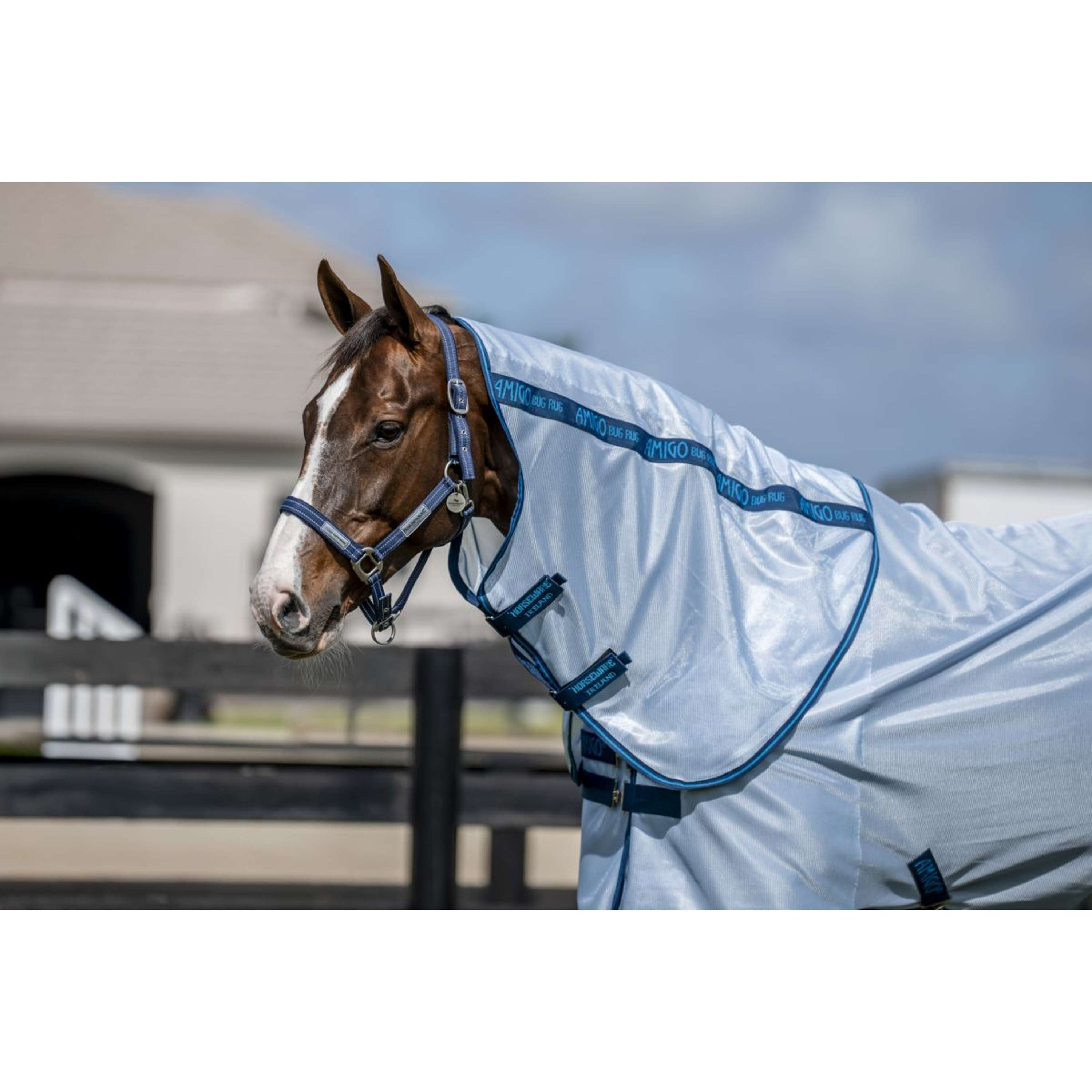Amigo Halsstuk Bug Rug Azure Blue/Navy/Electric Blue