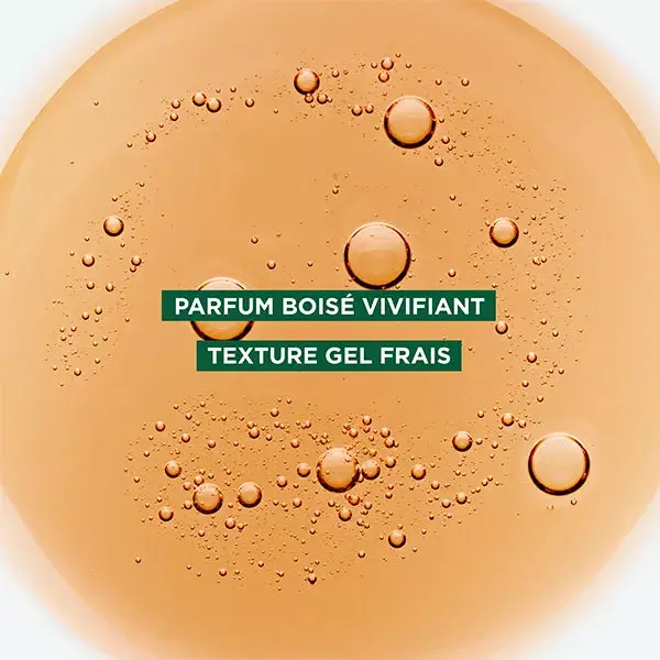 Klorane Galanga Shampoing Antipelliculaire Rééquilibrant 400ml