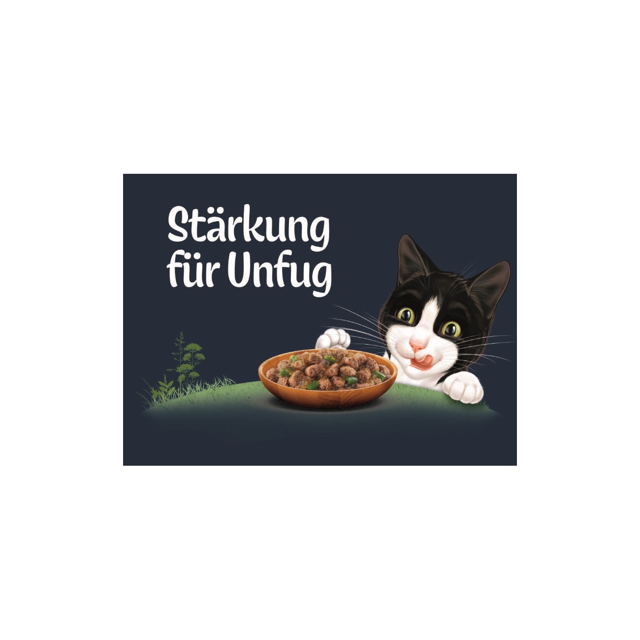 Felix Naturally Delicious Geschmacksvielfalt vom Land 80x80g
