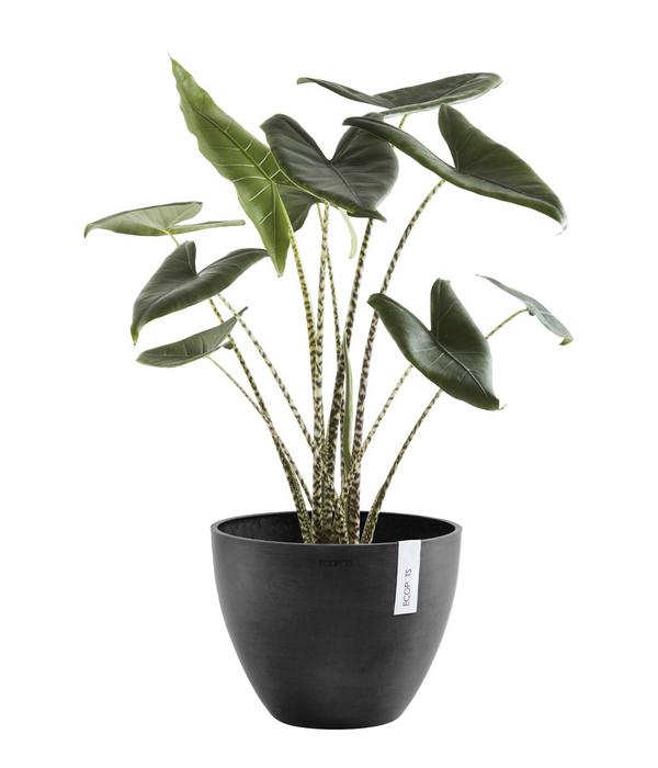 Ecopots Kunststoff-Topf Antwerp, rund