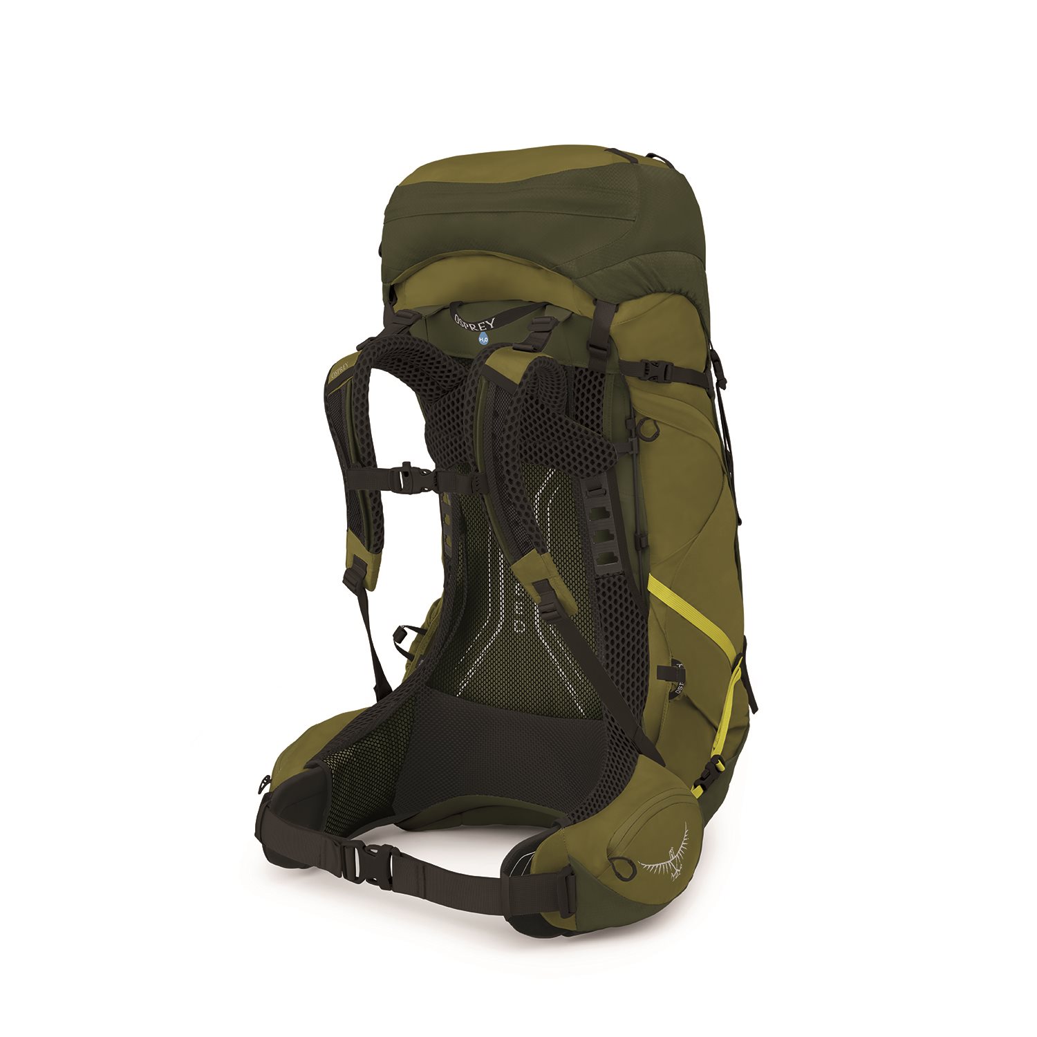 Osprey Atmos AG LT 50 L/XL scenic valley/green peppercorn
