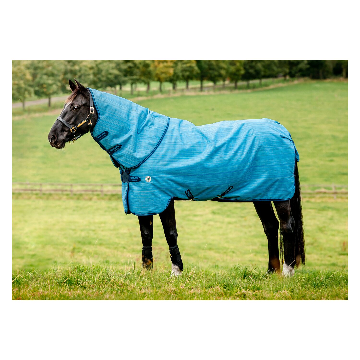 HORSEWARE Outdoordecke AMIGO Hero 900 Revieve plus 50 g - oceanblue