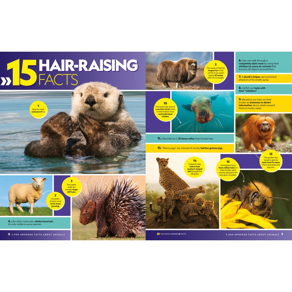 National Geographic Kids: 5.000 faszinierende Fakten (über Tiere!) (Gebundenes Buch)