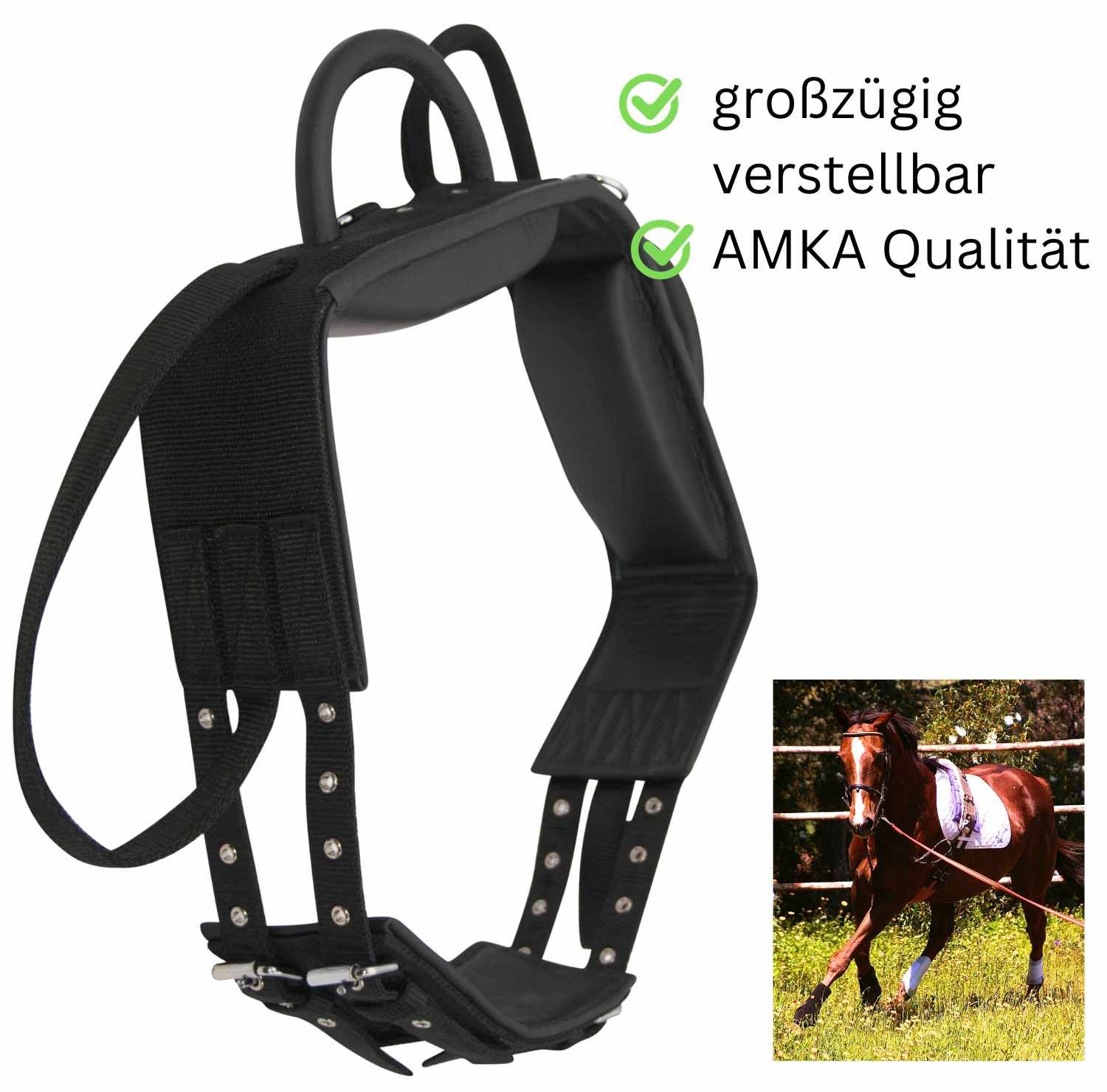 AMKA Voltigiergurt/Longiergurt Leder/Synthetik mit 2 runden Griffen