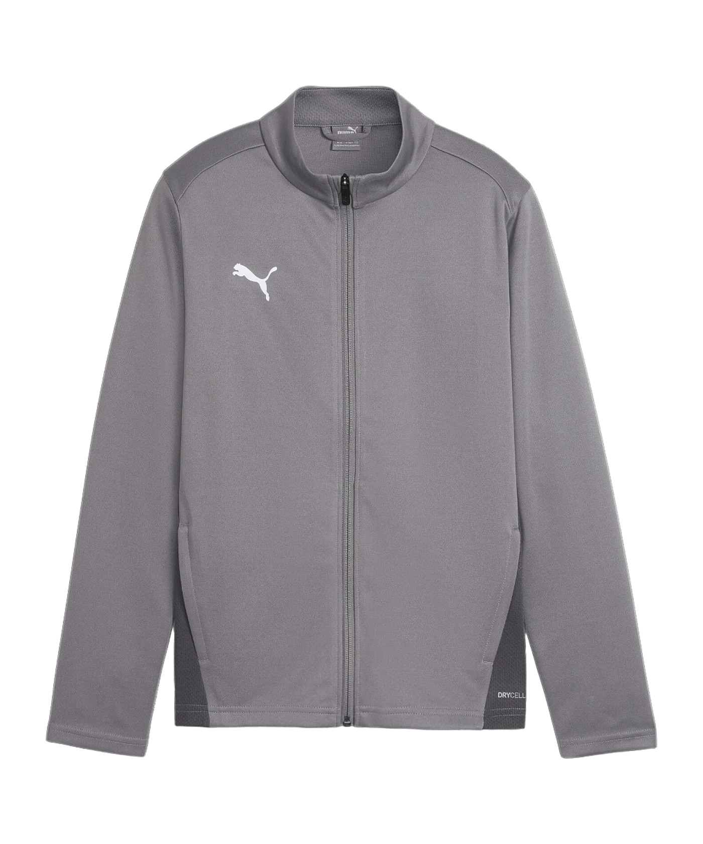PUMA teamGOAL Trainingsjacke Kids Grau F13