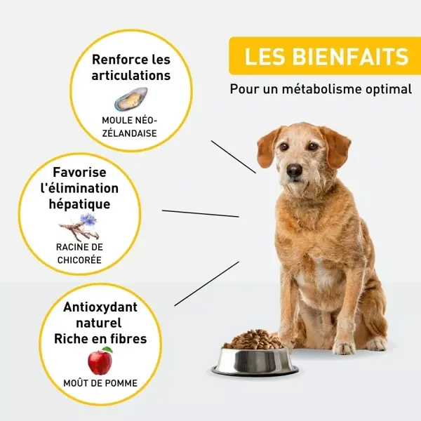 VetoNUT Ração para Cães Idosos 2,5kg