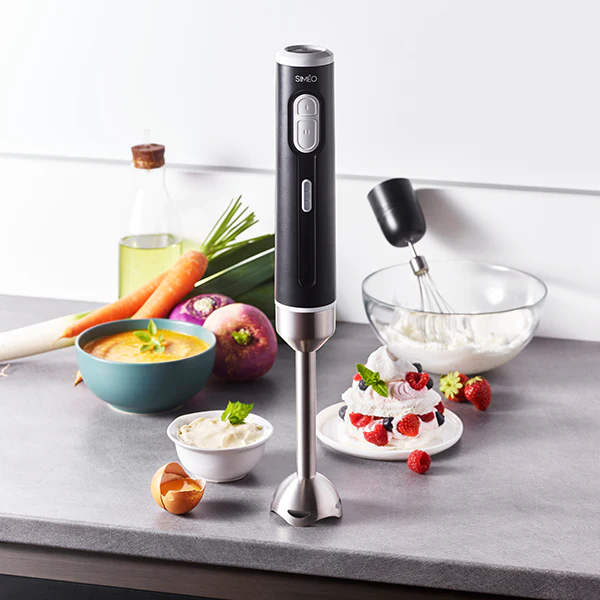 Mixeur électrique plongeant sans fil rechargeable 2 vitesses 200 W Sim