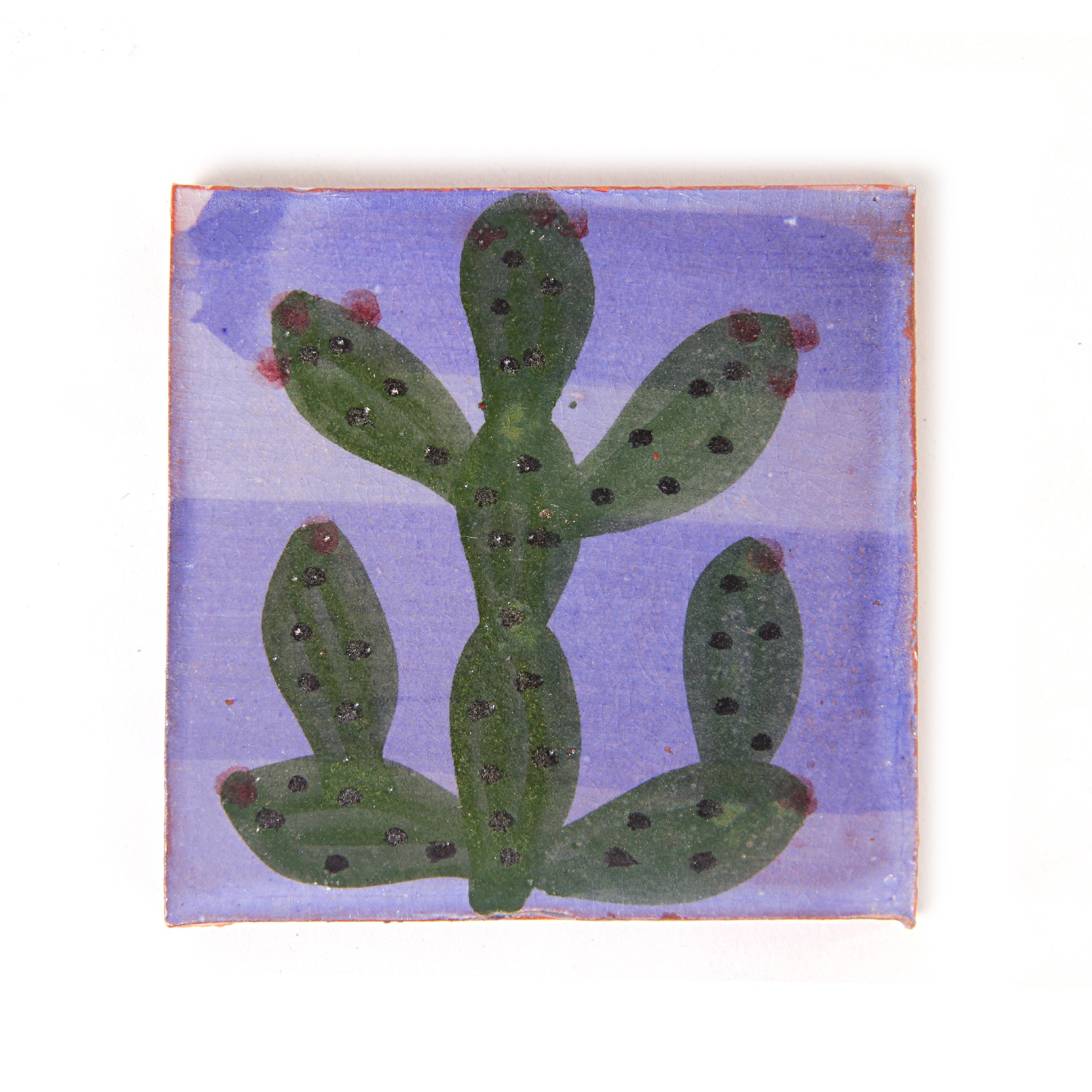 Kachel 'figuier bleu', blau-grün, T 10 cm, B 10 cm, H 1 cm von fischer's lagerhaus
