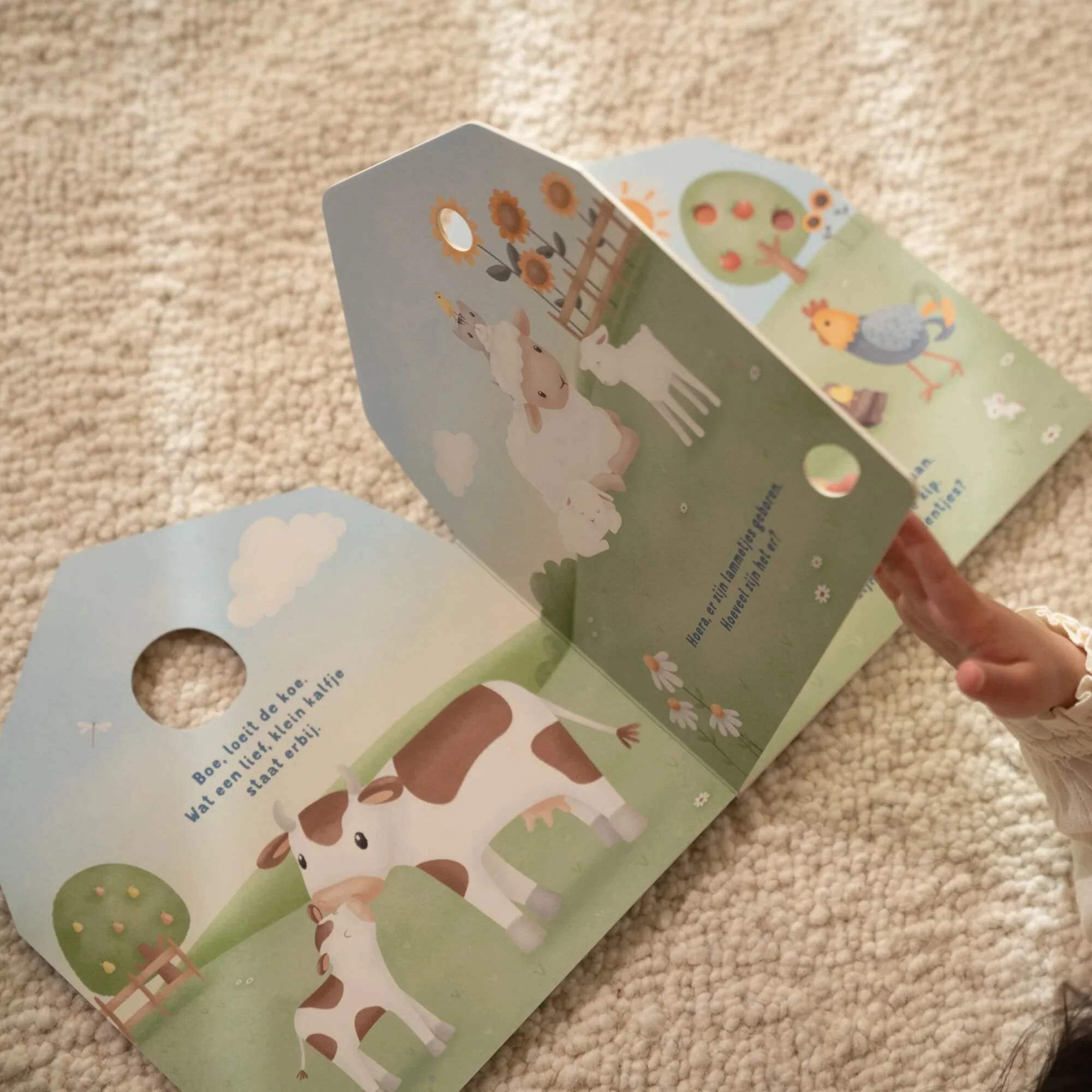 Mijn doorkijkboek - Boerderij kopen? Little Dutch