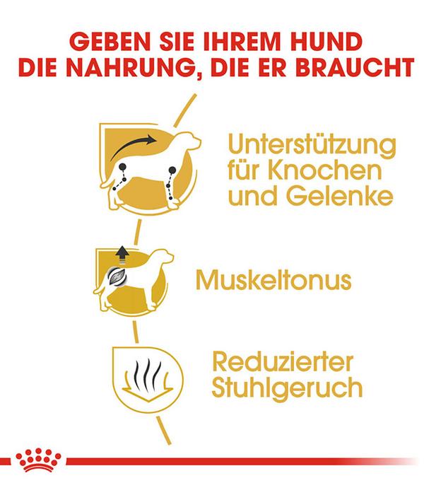 ROYAL CANIN® Trockenfutter für Hunde
