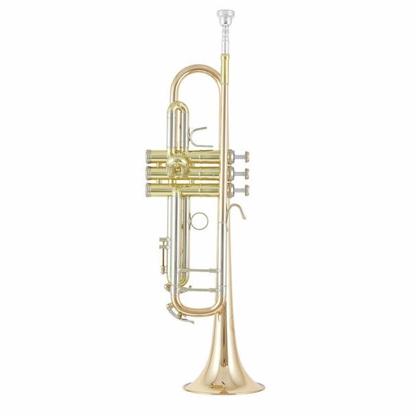 B&S 3137G-L Challenger I GM